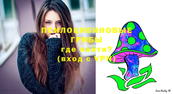 spice Беломорск