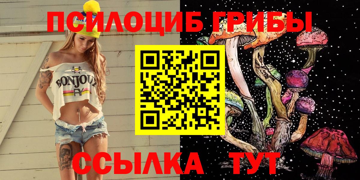 Городец  Псилоцибиновые грибы прущие грибы  Вход с VPN 